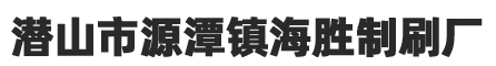 潜山市源潭镇海胜制刷厂